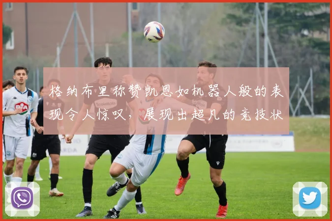 格纳布里称赞凯恩如机器人般的表现令人惊叹，展现出超凡的竞技状态