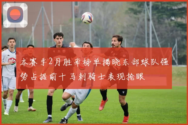 本赛季2月胜率榜单揭晓东部球队强势占据前十马刺骑士表现抢眼