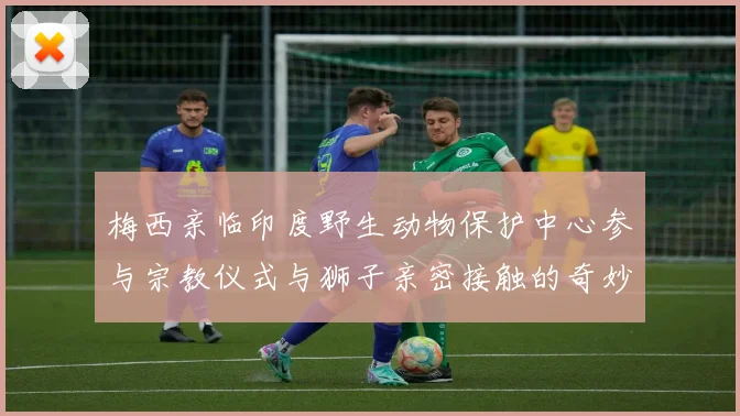 梅西亲临印度野生动物保护中心参与宗教仪式与狮子亲密接触的奇妙体验